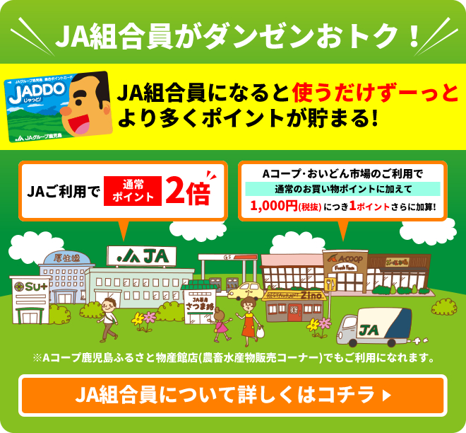 JA組合員がダンゼンおトク！JA組合員になると使うだけずーっと
より多くポイントが貯まる!　JAご利用で通常ポイント2倍　Aコープ・おいどん市場のご利用で通常のお買い物ポイントに加えて税抜1,000円につき1ポイントさらに加算！　Aコープ鹿児島ふるさと物産館店(農畜水産物販売コーナー)でもご利用になれます。　JA組合員について詳しくはこちら